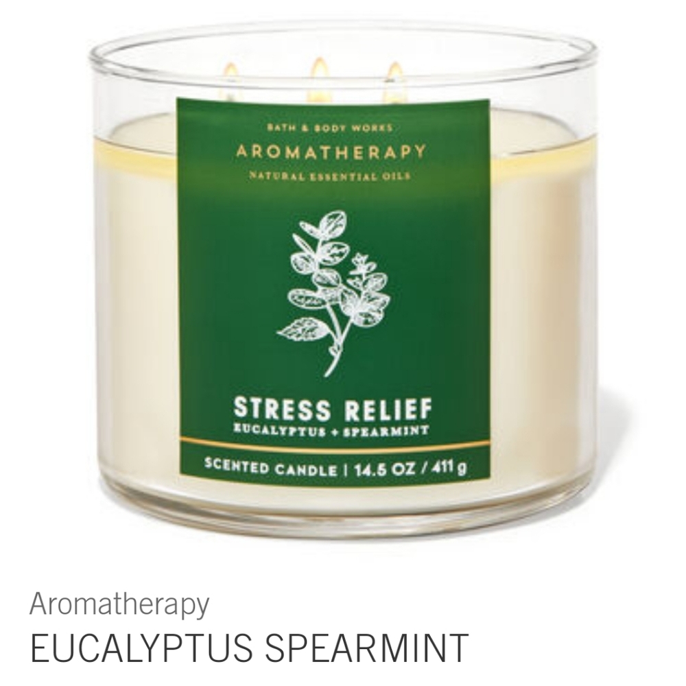 Stress relieve Ecypluts Spearmint
